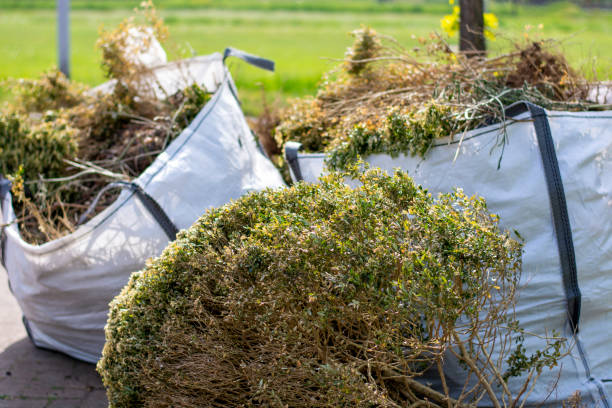 Best Full-Service Junk Removal  in Lely, FL